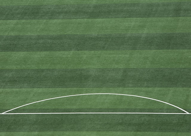 足球世界足球先生候选名单出炉，引发热议